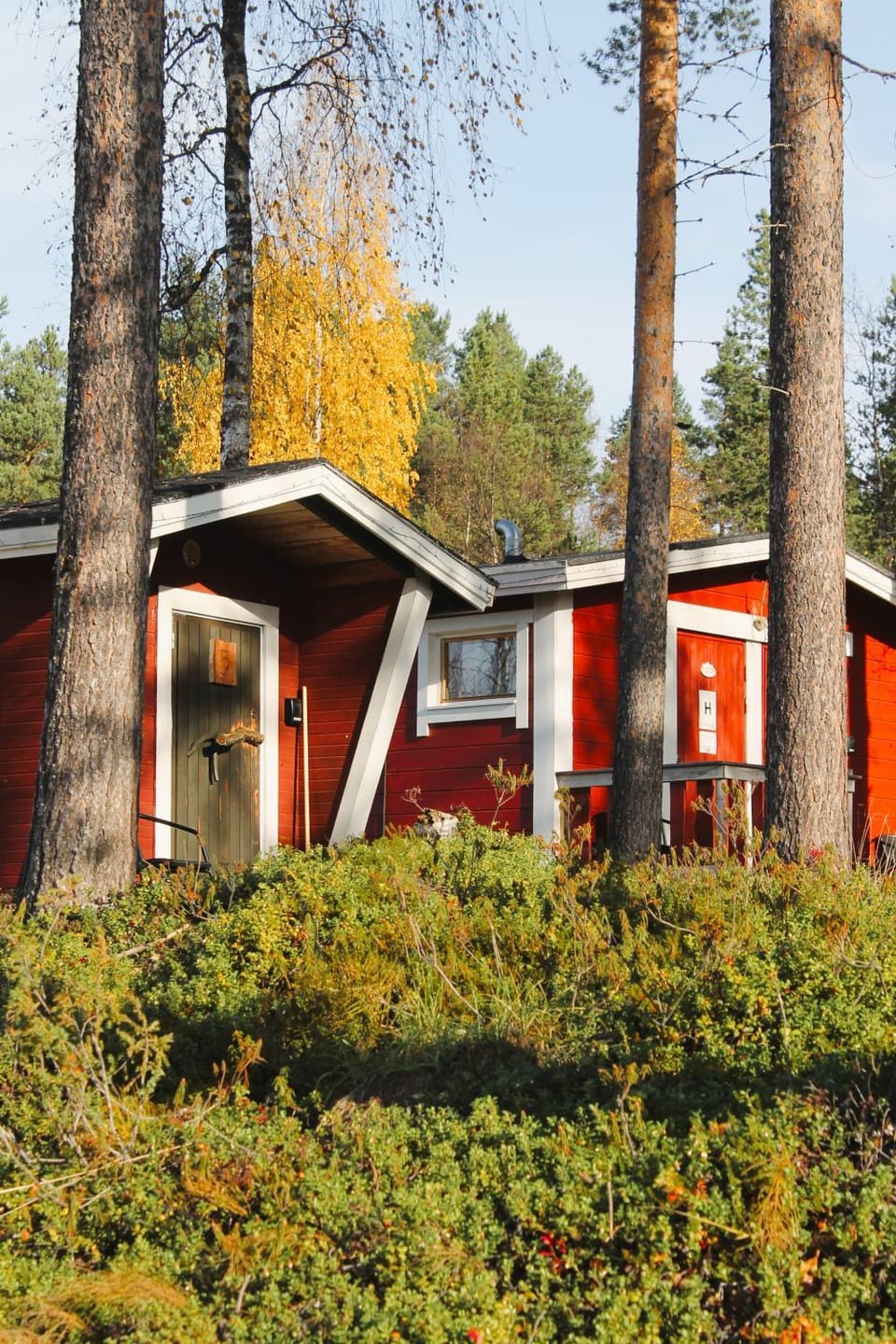 Natural landscape, Garden, Garden view, Inner courtyard view