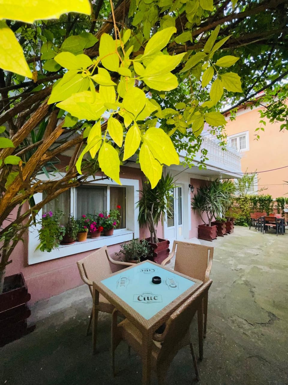 Balcony/Terrace