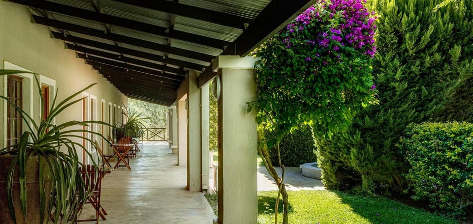 Patio, Facade/entrance, Garden