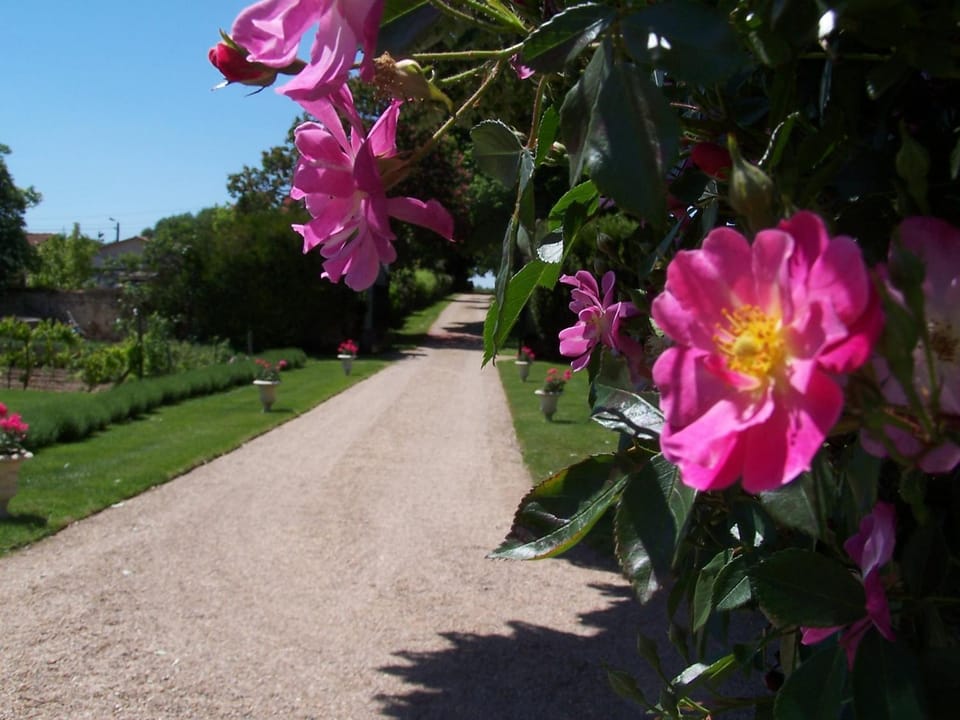 Facade/entrance, Garden view