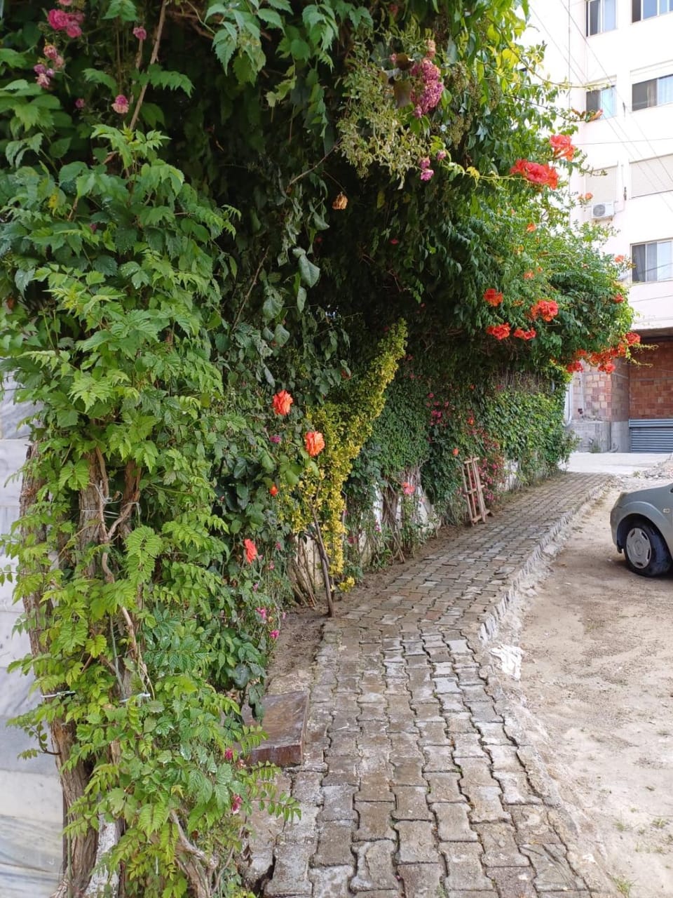 Arben Apartment in Tirana County, Albania