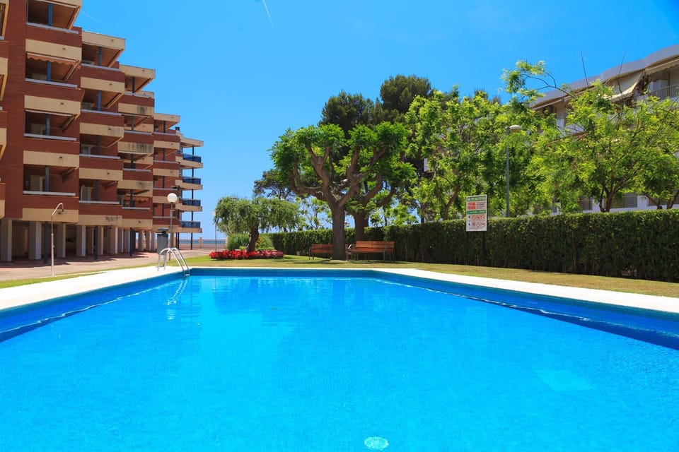 Property building, Garden, Swimming pool