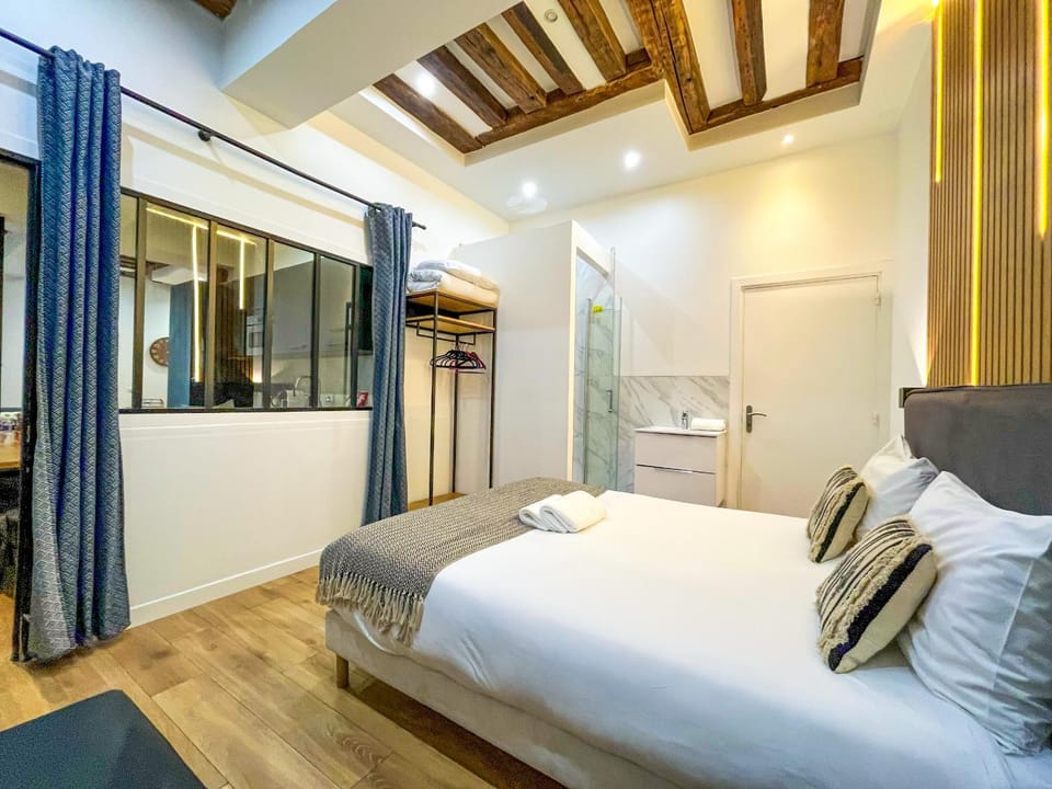 67 - Amazing Parisian Flat Apartment in Paris