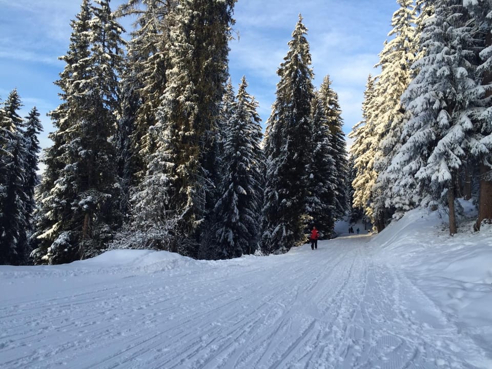 Verbier Valmont in center Apartment in Bagnes