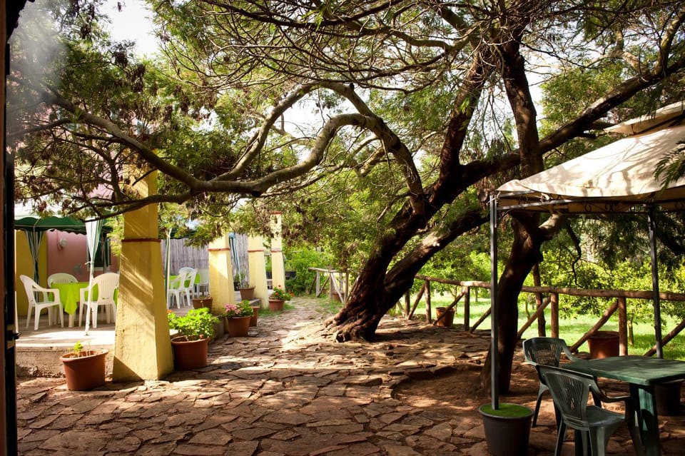 Activities, Garden, Garden, Balcony/Terrace