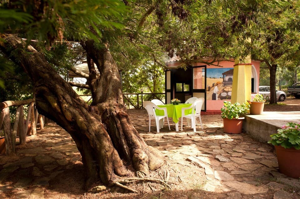 Property building, Activities, Garden, Balcony/Terrace, Decorative detail, Entertainment
