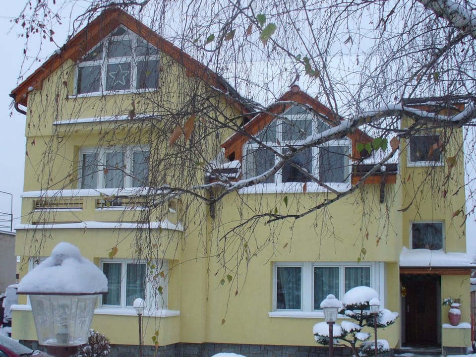 Winter