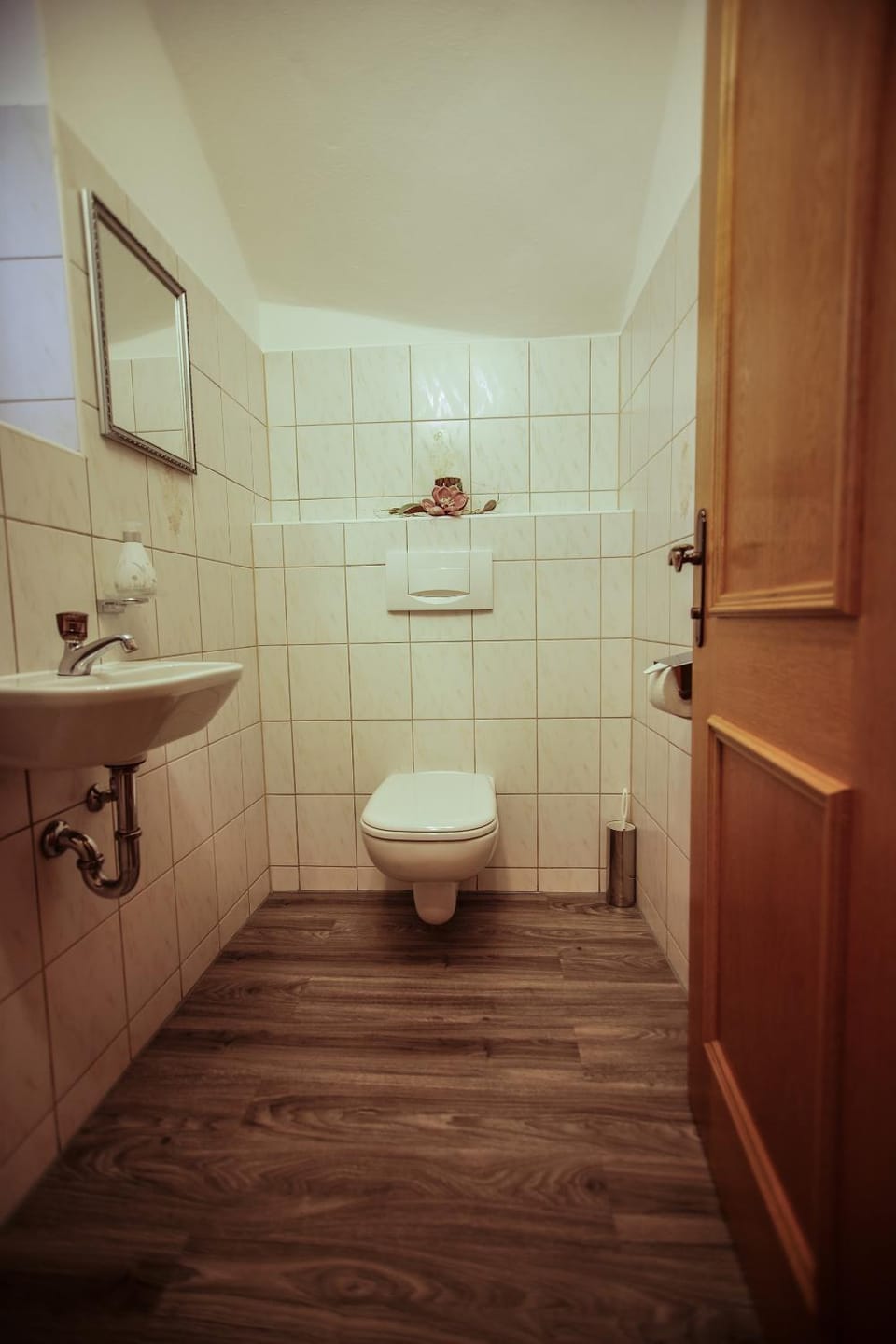 Toilet, Other