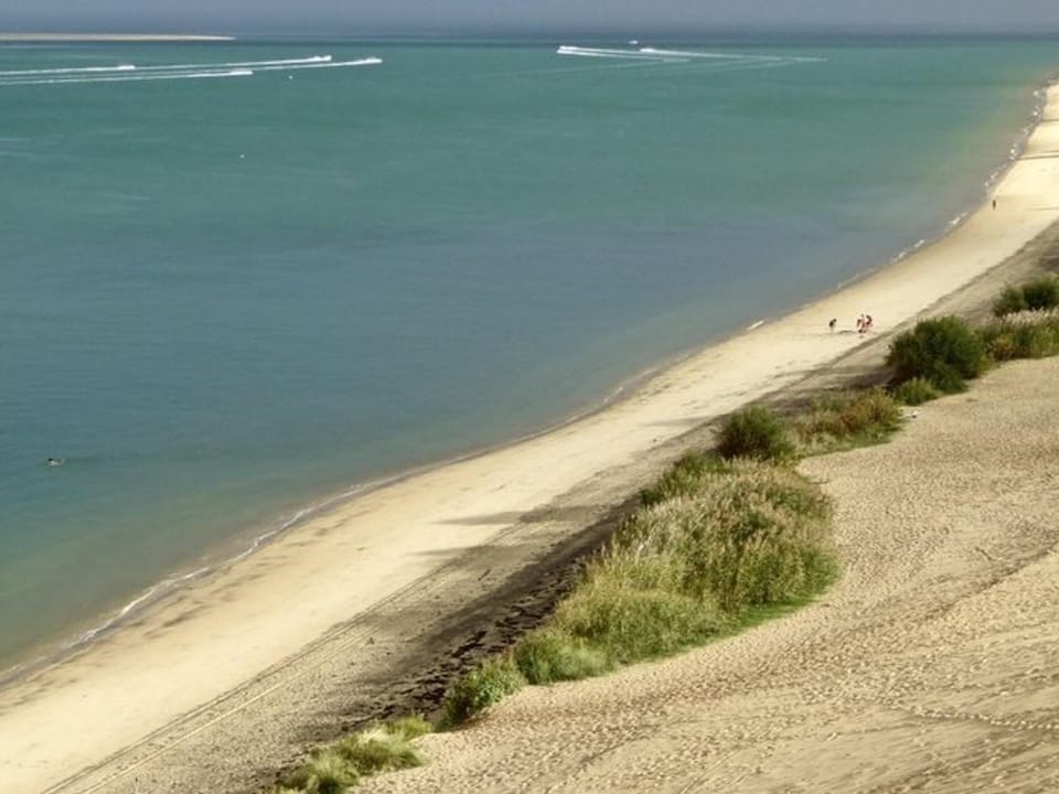 T2 cabine avec grande terrasse sans vis à vis, parking privatif, à 100m des plages - FR-1-420-47 Cabin in La Teste-de-Buch