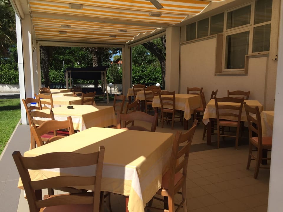 Patio, Day, Summer
