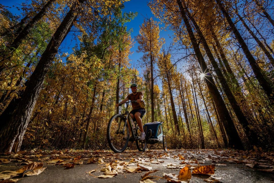 Day, Neighbourhood, Cycling, Autumn