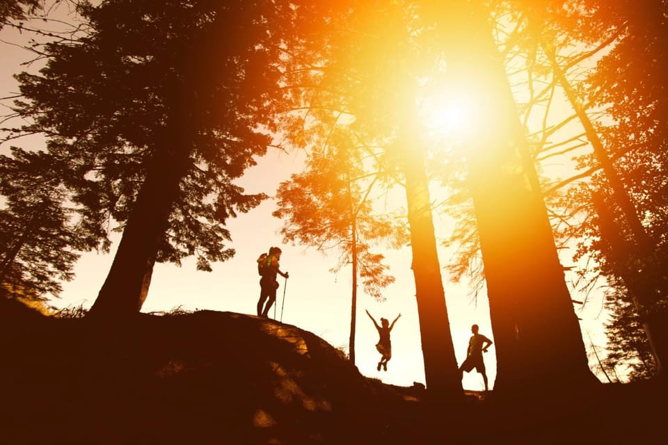 Day, Summer, Hiking, group of guests