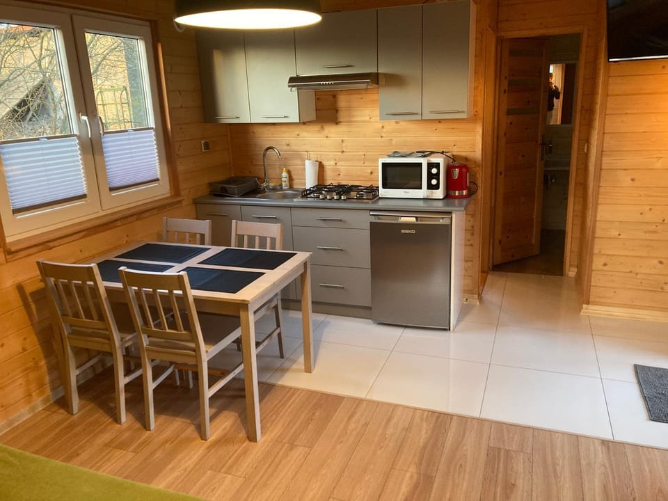 Kitchen or kitchenette, Dining area, oven, stove