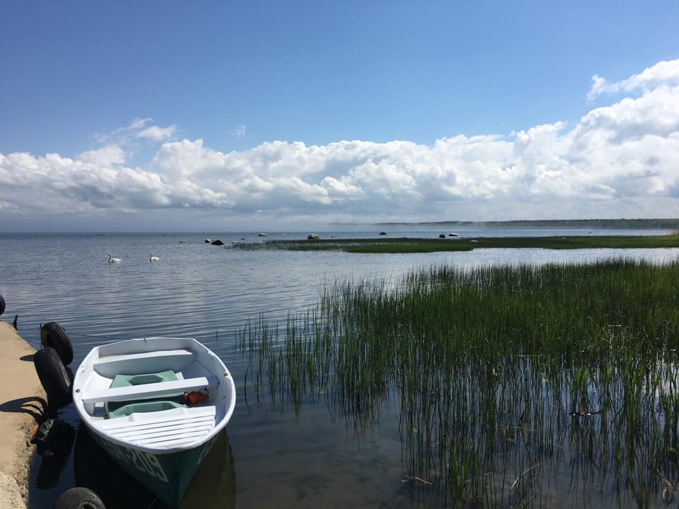 Day, Fishing, Sea view