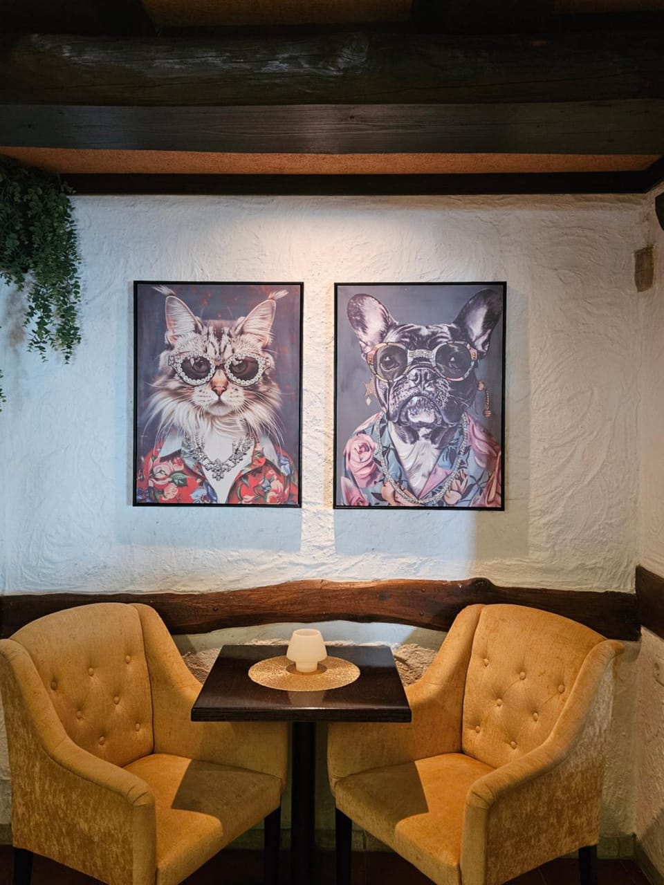 Lounge or bar