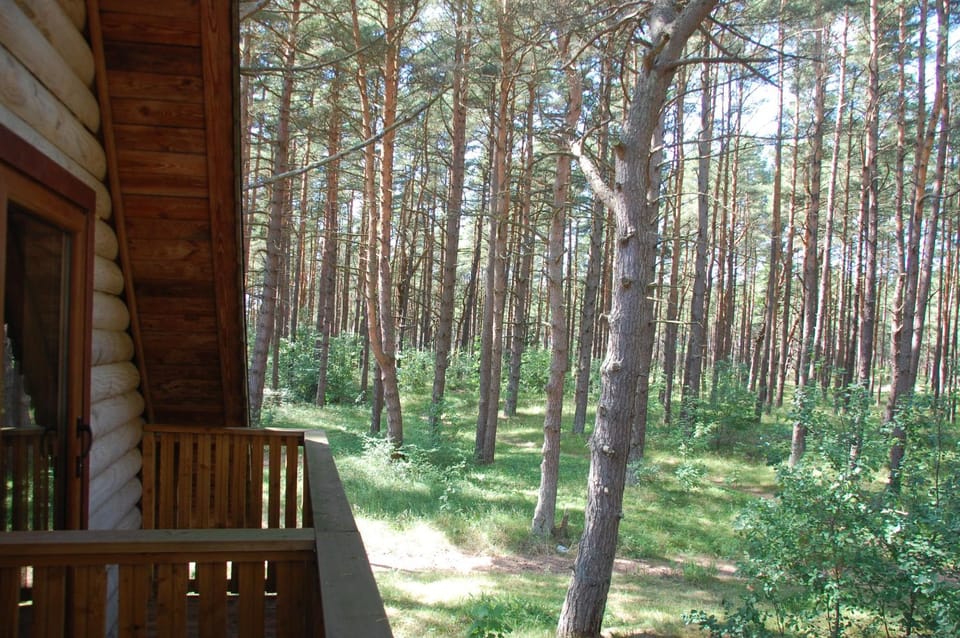 Edmundas Nature lodge in Palanga