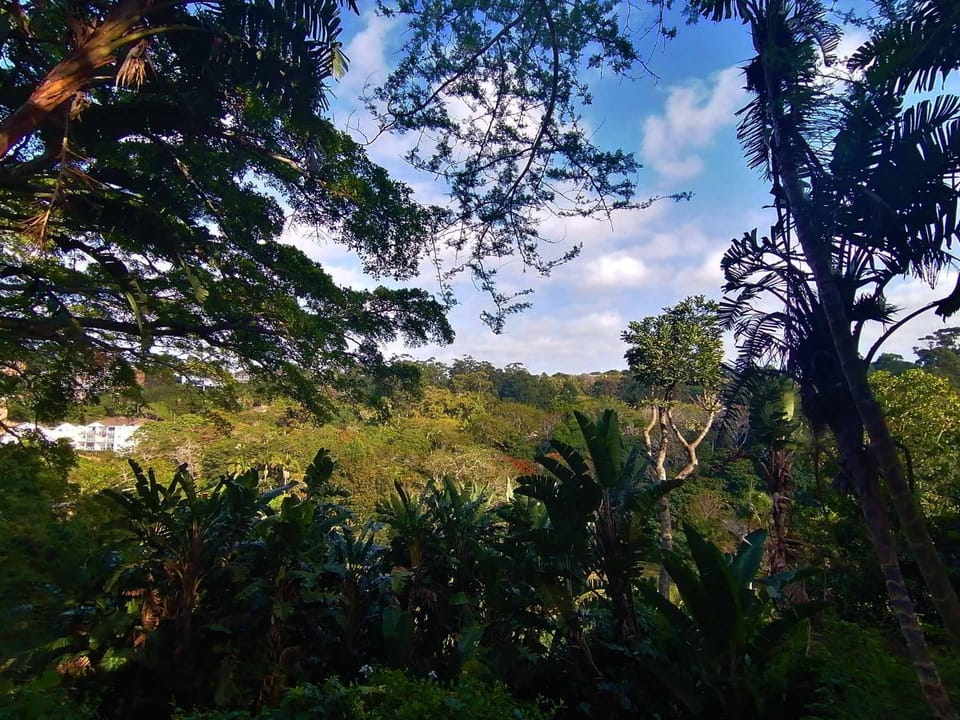 View (from property/room)