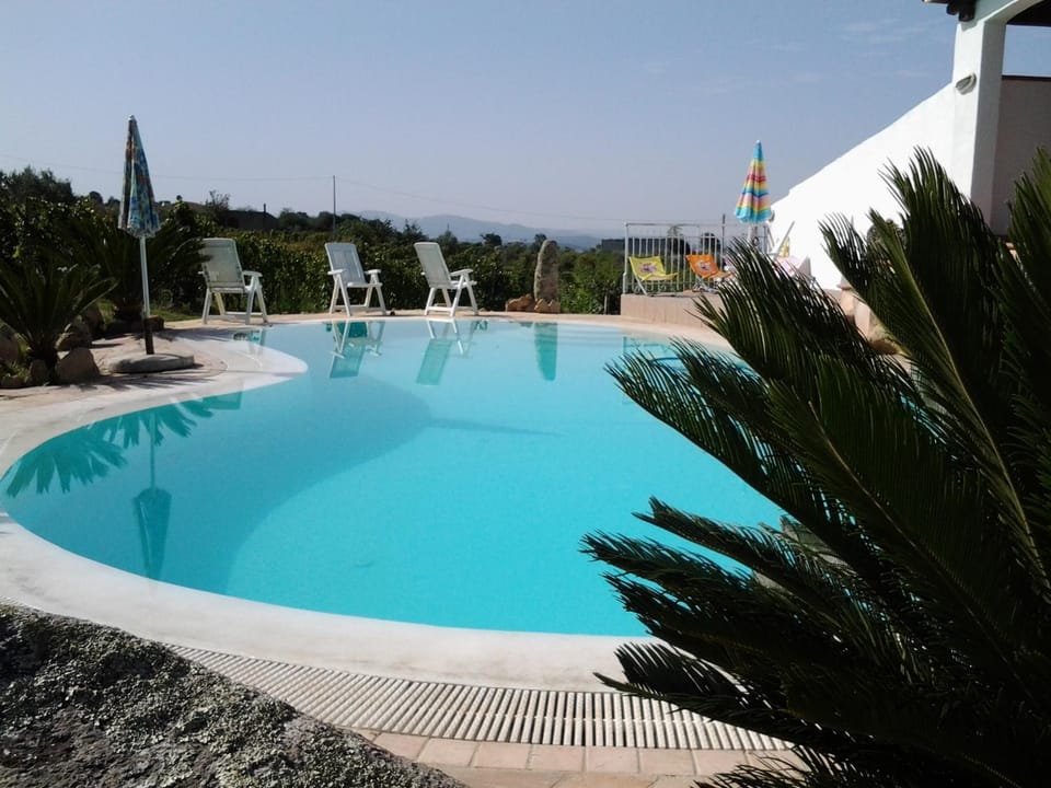 Garden, Swimming pool, Swimming pool