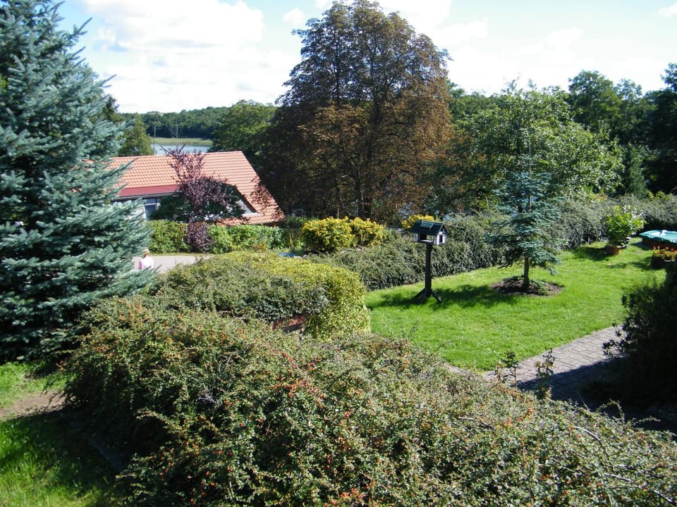 Natural landscape