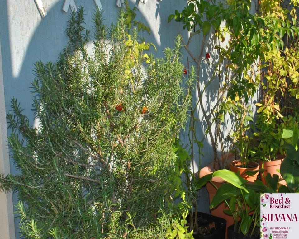 Property building, Balcony/Terrace