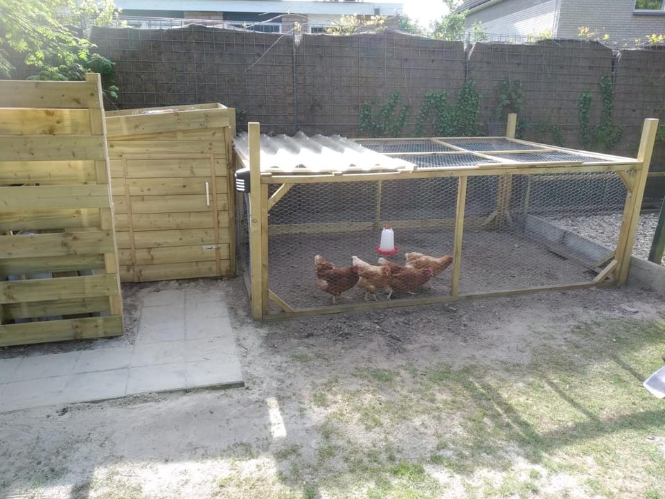 Garden, Animals