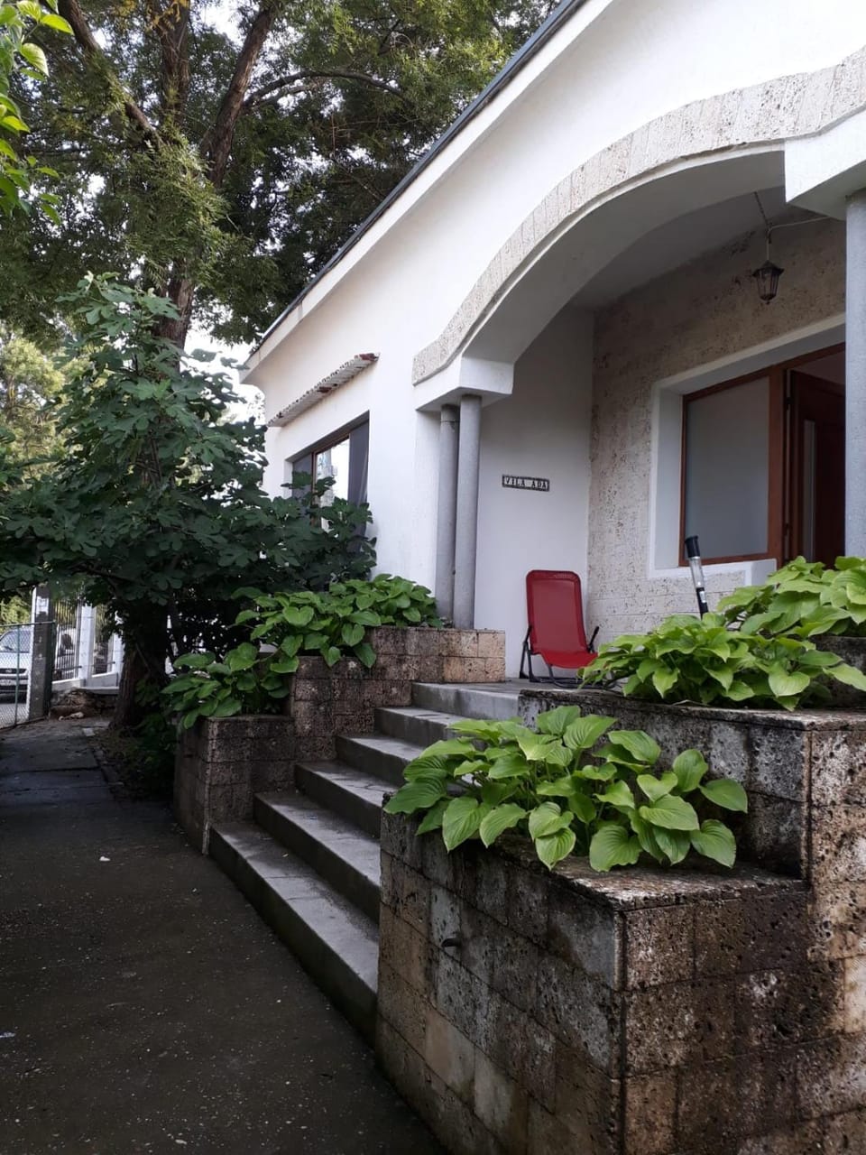 Garden view