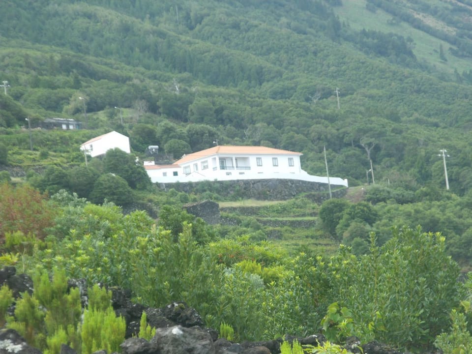 Property building, Natural landscape, View (from property/room)