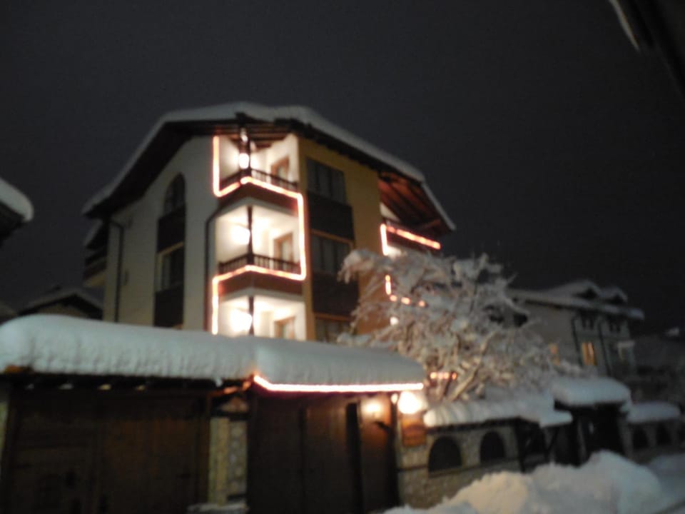 Facade/entrance, Night, Winter