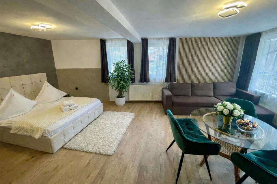 Pensiunea Carina Bed and Breakfast in Bran