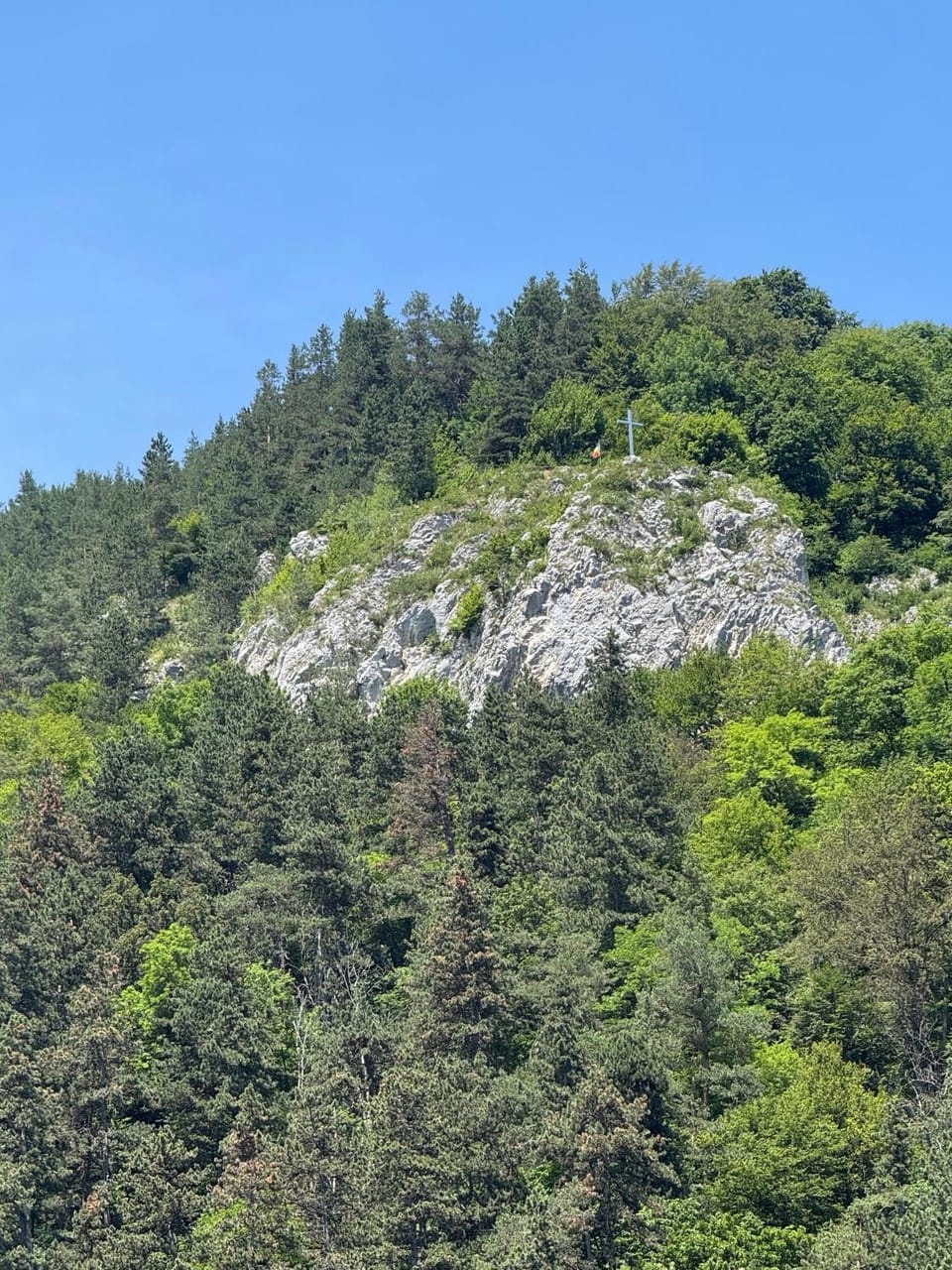 Pensiunea Carina Bed and Breakfast in Bran