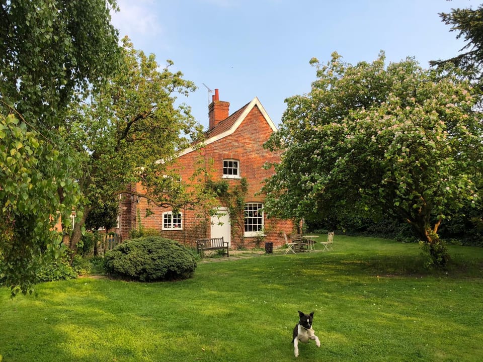 Property building, Garden, Pets