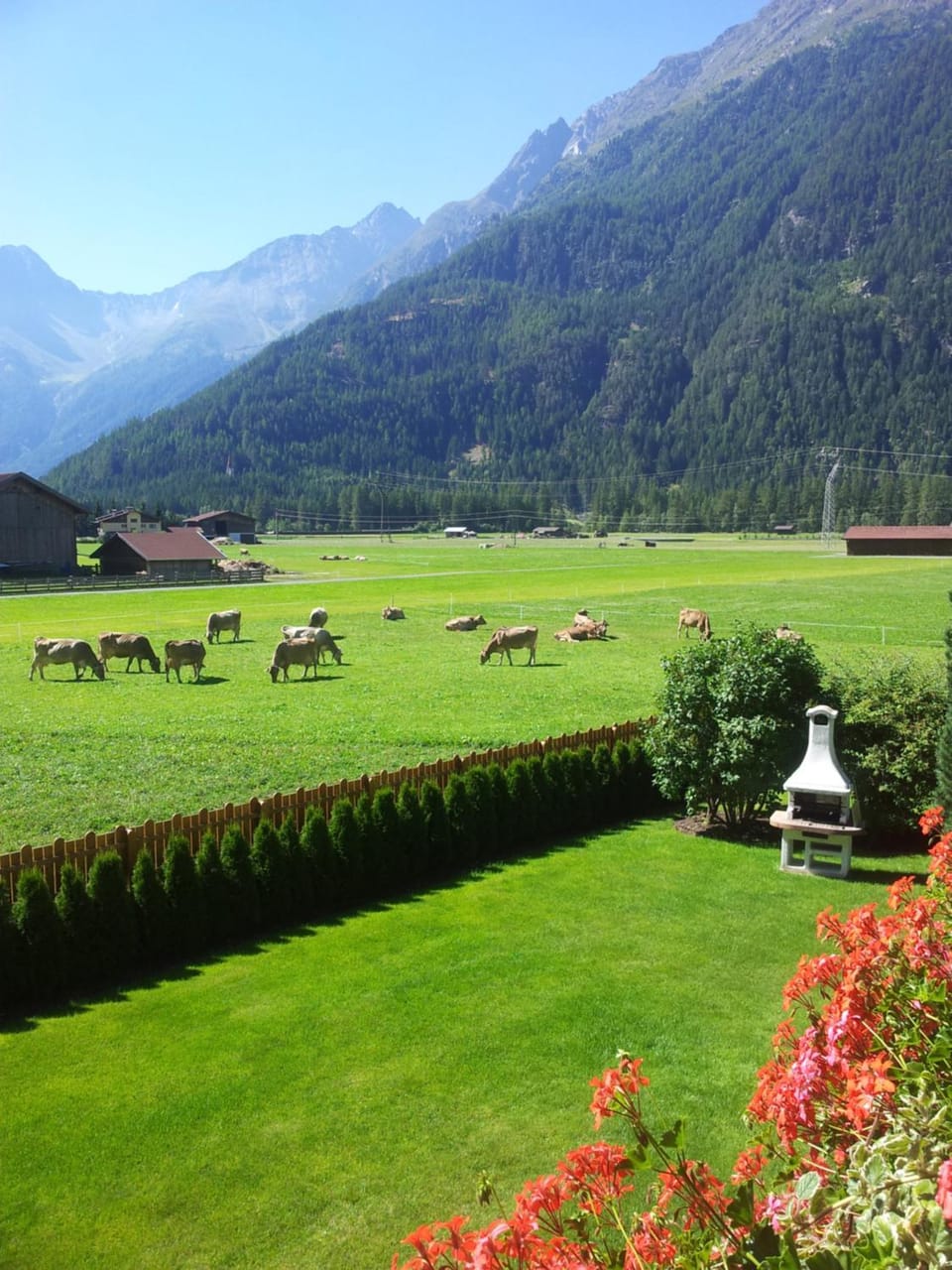 Garden, View (from property/room), Mountain view