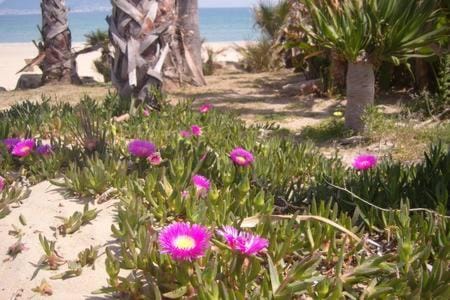 Apartamento a la Playa Apartment in Algeciras