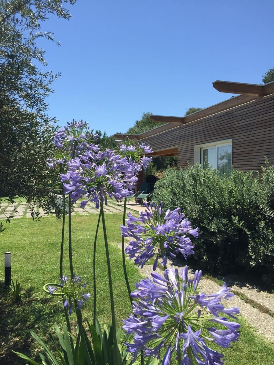 Property building, Garden, Garden view