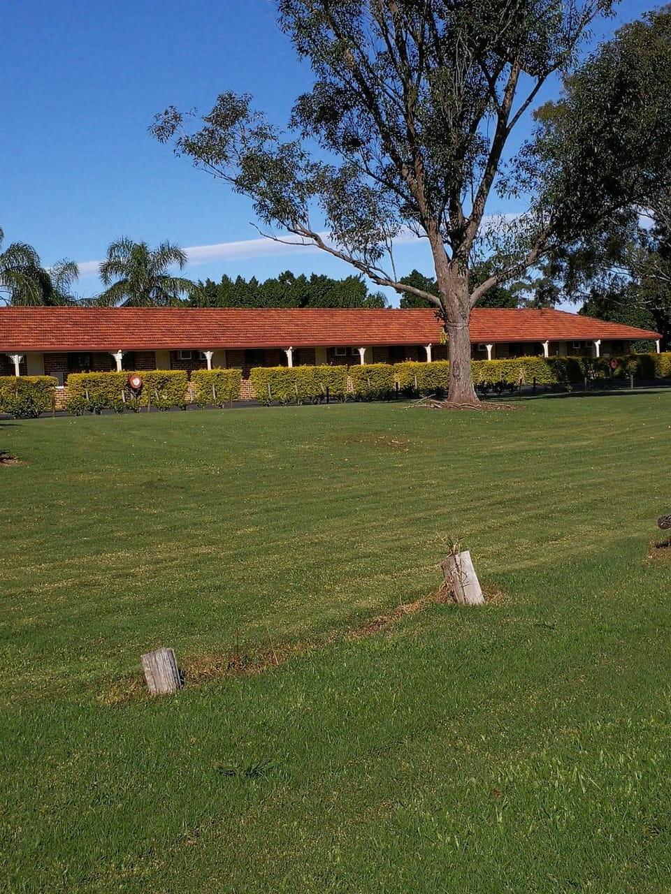 Lakeside Lodge Motel Motel in Lismore