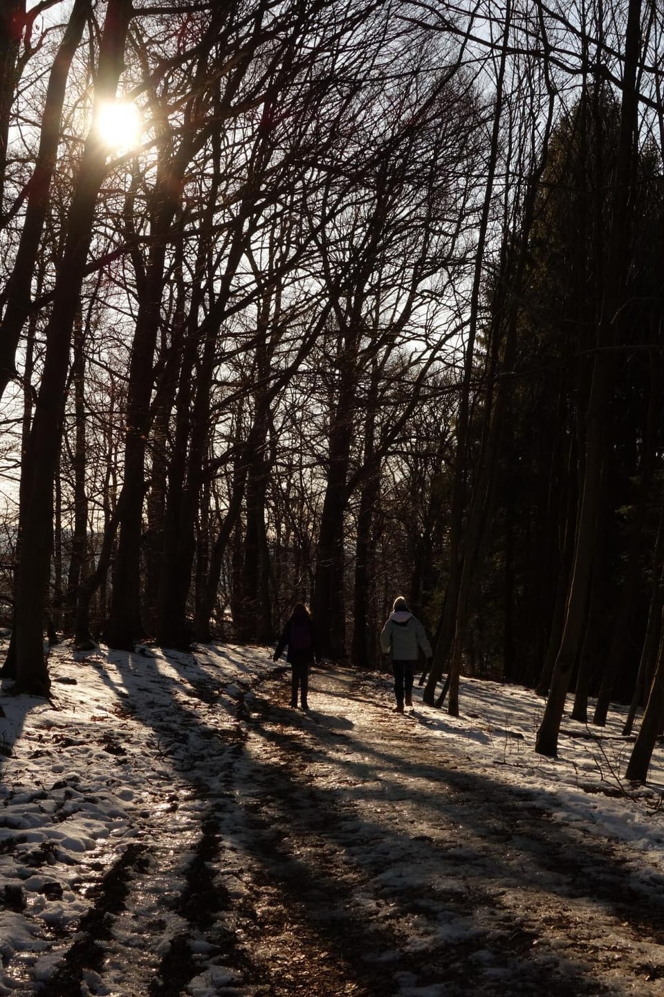 Hiking