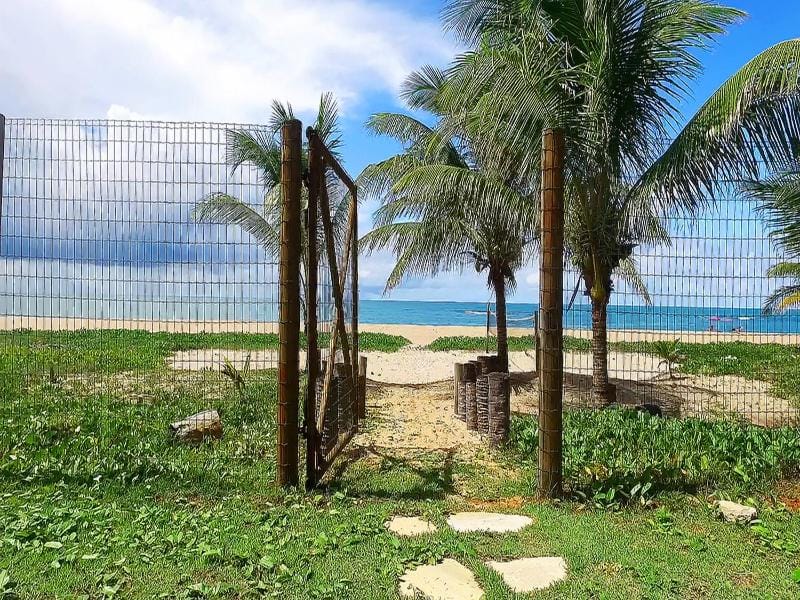 Sea view
