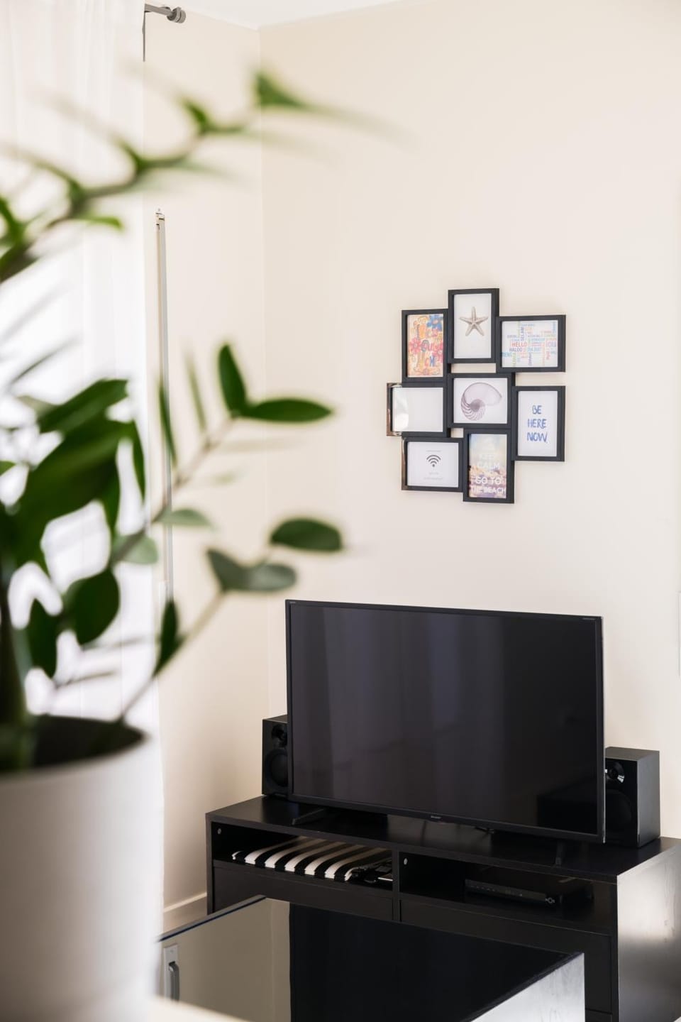 TV and multimedia