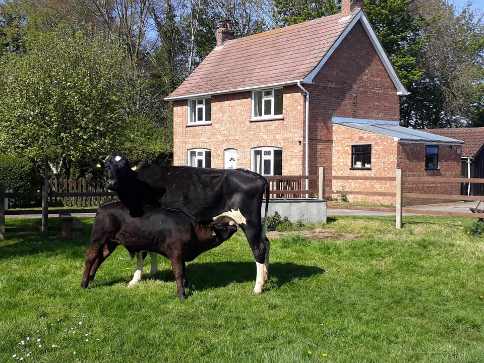 Church Farm, Legbourne Louth House in England