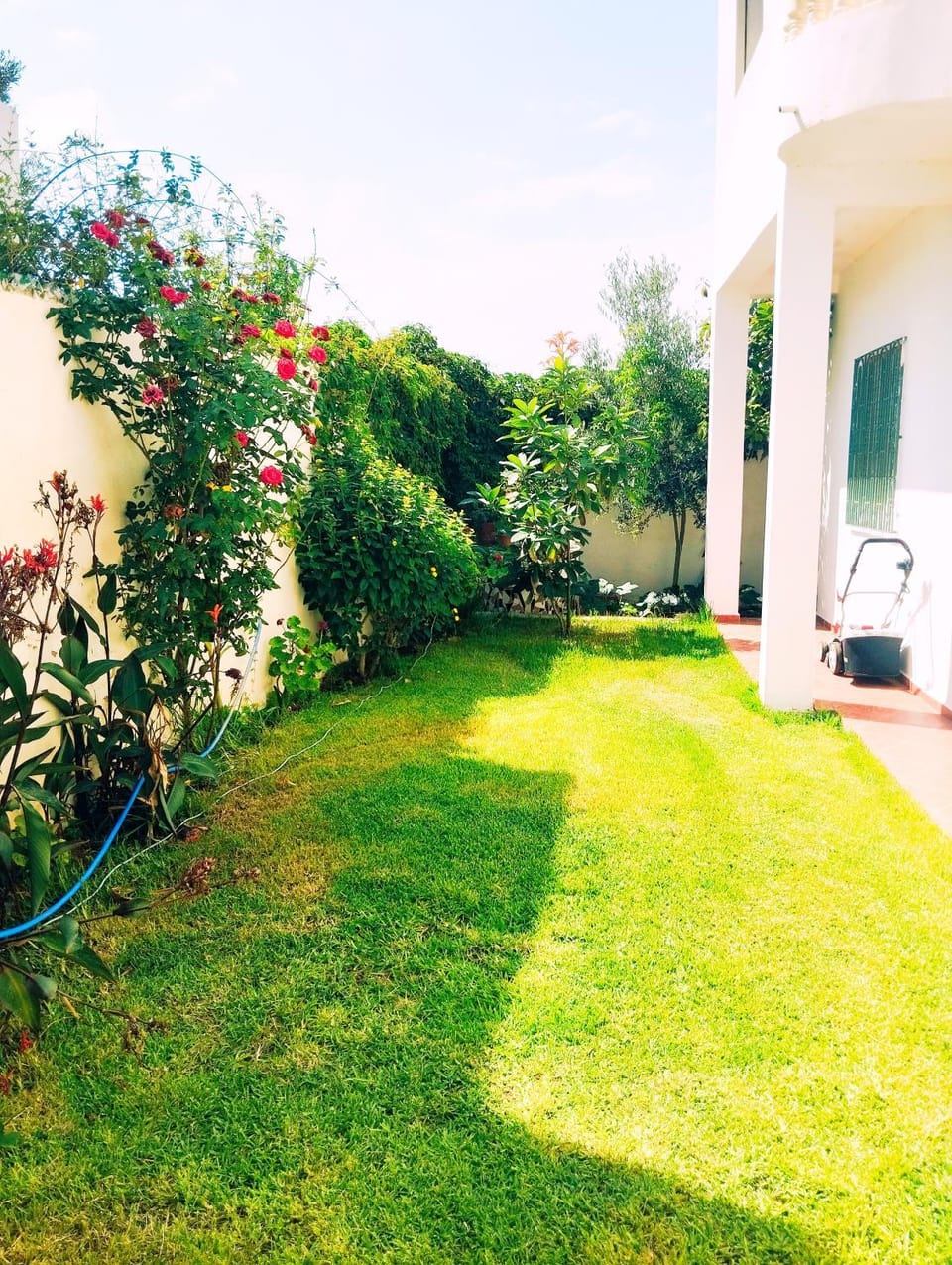 Magnifique villa pour vacances d'été Villa in Tangier-Tétouan-Al Hoceima