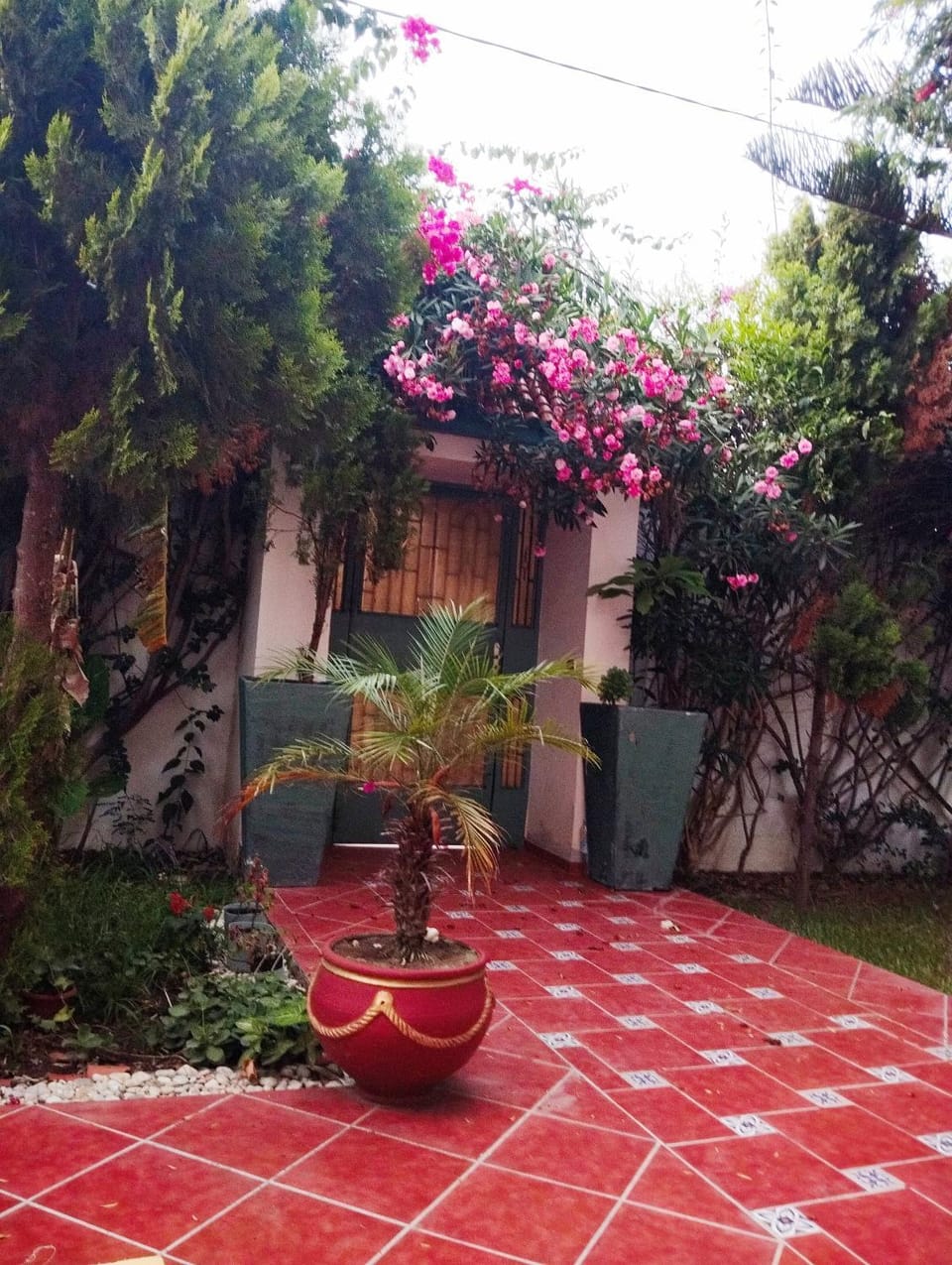 Magnifique villa pour vacances d'été Villa in Tangier-Tétouan-Al Hoceima