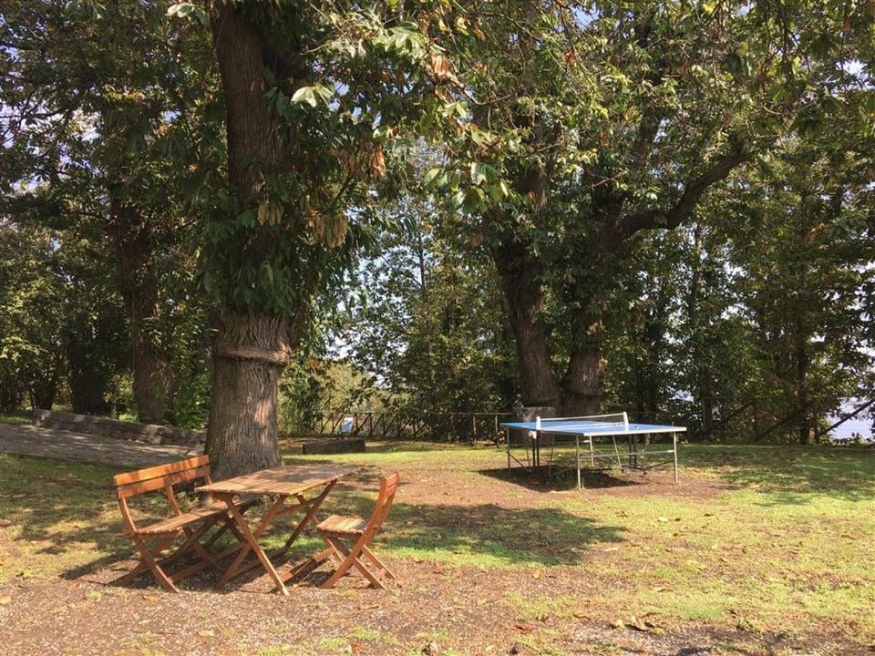 Spring, Day, Garden, Table tennis, Dining area, Garden view