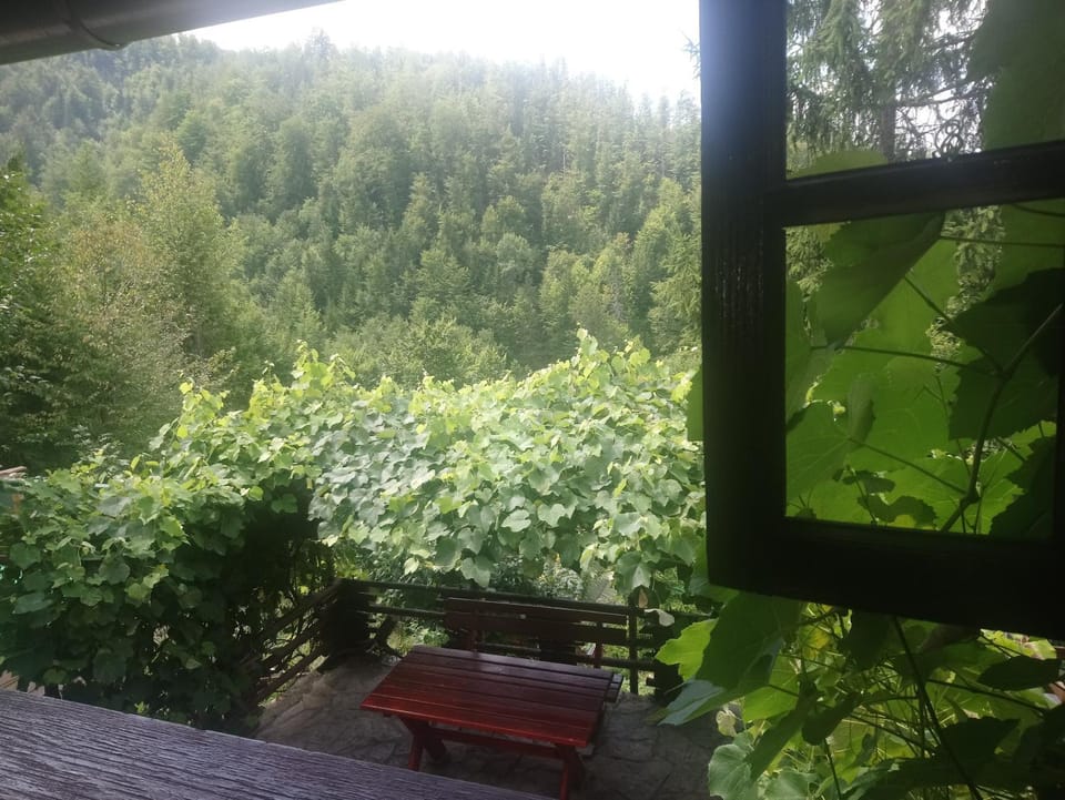 Little heaven 2 Nature lodge in Zlatibor District, Serbia
