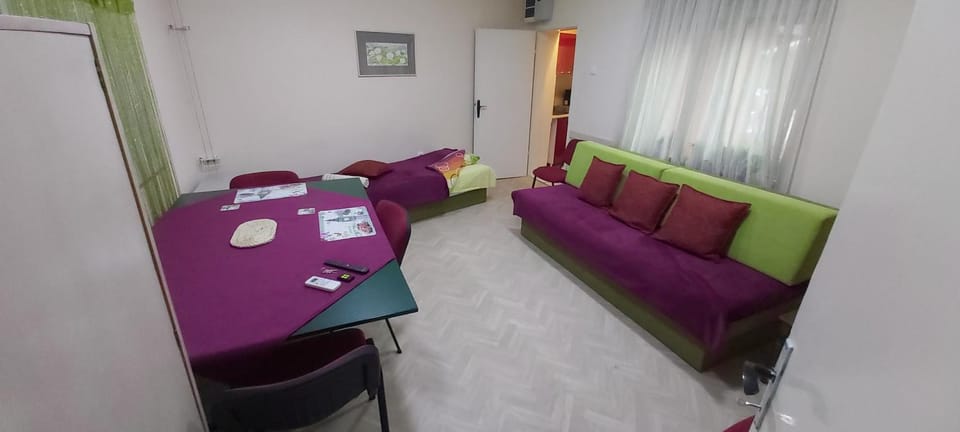 Cozy apartment in the center of Novi Sad! Apartment in Novi Sad