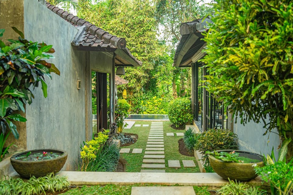 Day, Garden, Garden view