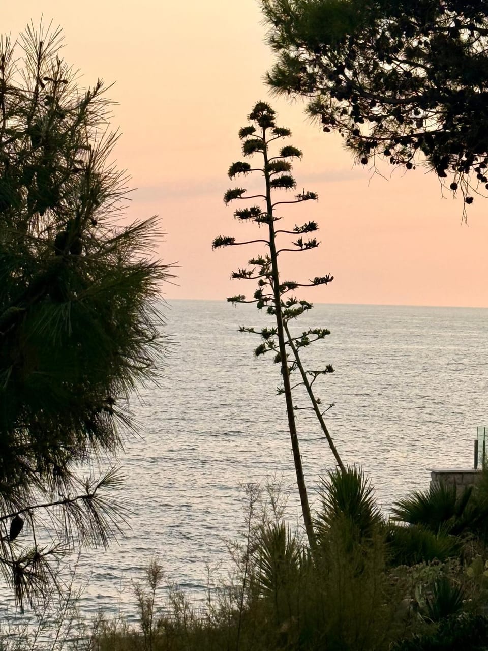 Day, Natural landscape