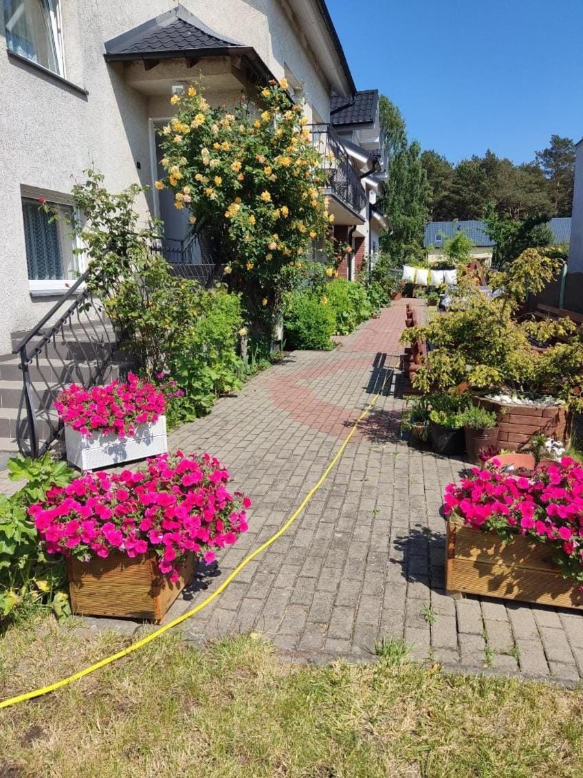 DELFIN Wynajem Pokoi Vacation rental in Pomeranian Voivodeship