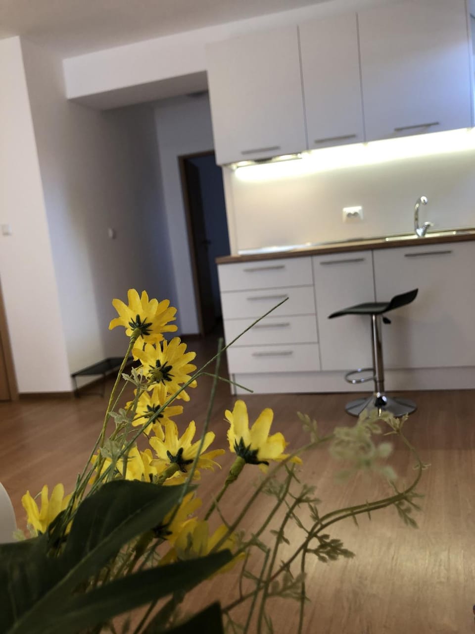 Aparthotel Elly Hotel in Pomorie