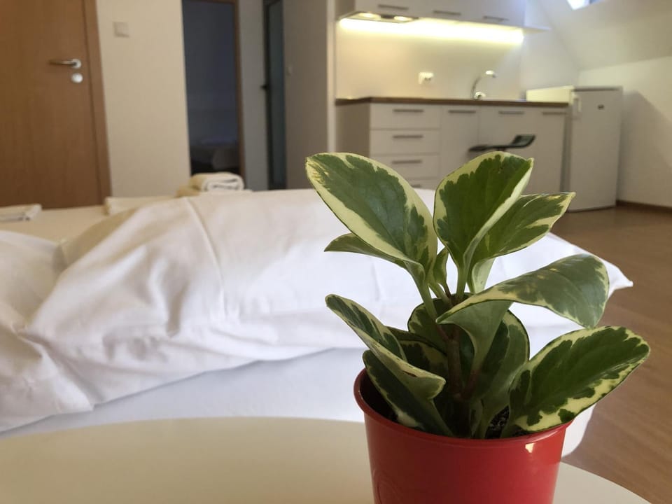 Aparthotel Elly Hotel in Pomorie