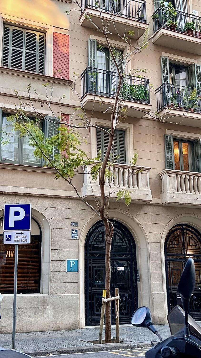 Hostal Madrazo Bed and Breakfast in Barcelona